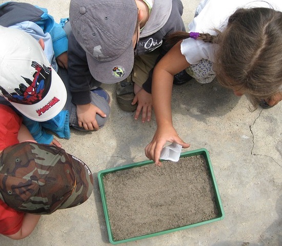 Educação ambiental